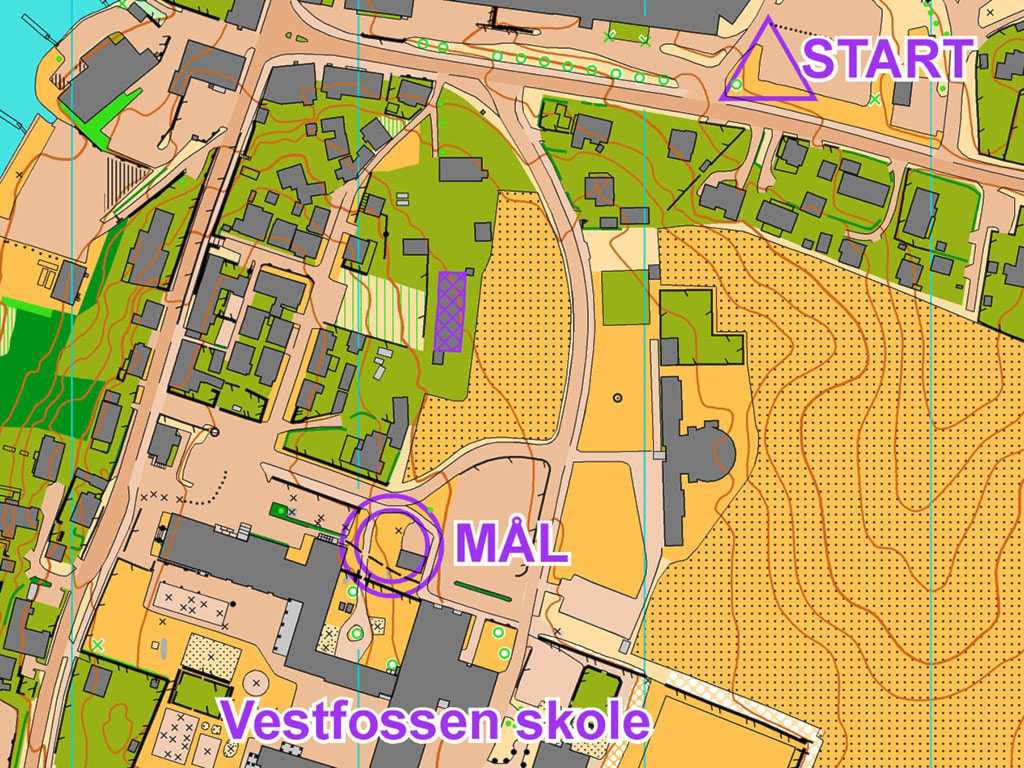 VELKOMMEN TIL EIKERMESTERSKAP I SPRINT 2024